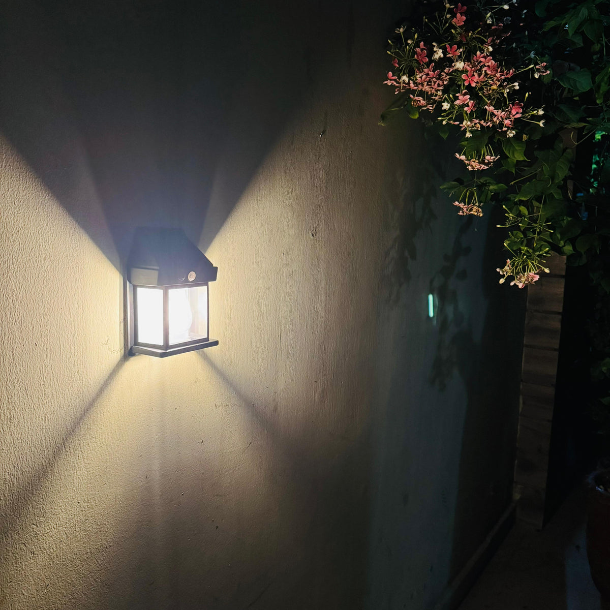 Solar Wall Light